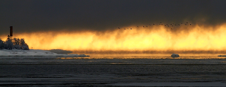 4. Markku Jämsä Merisorsat Merisorsat Hieno maisemallinen lintukuva, jossa tummat pilvet kontrastoituvat komeasti kullanväriseen valoon. Merestä nouseva väreily korostaa jäätyvän meren hohkaamaa kylmyyttä. Sommittelu ja rajaus toimivat hyvin. 